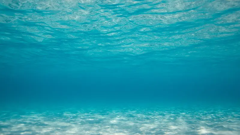 蔚蓝色的海底世界