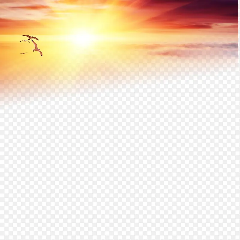 万丈光芒夕阳下的孤雁