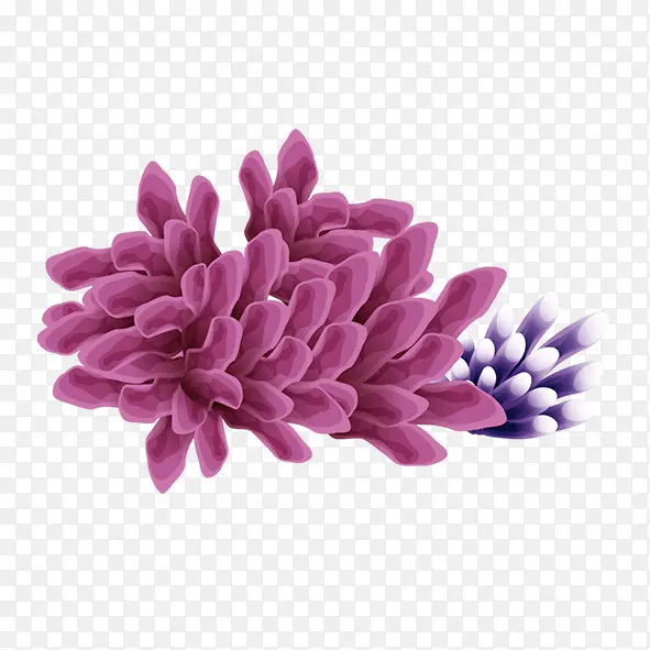 紫色海精灵