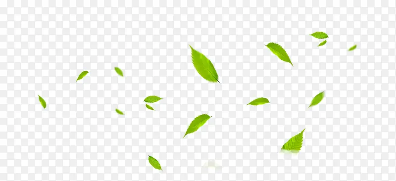 小清新绿色植物树叶飞舞效果