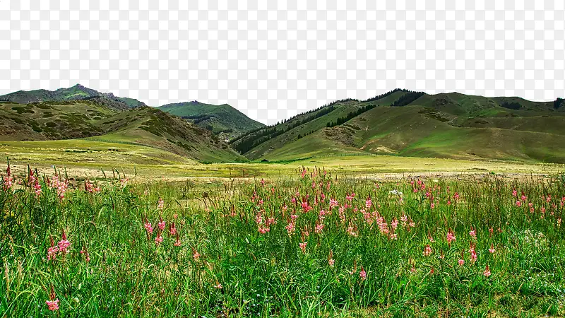 新疆赛里木湖风景
