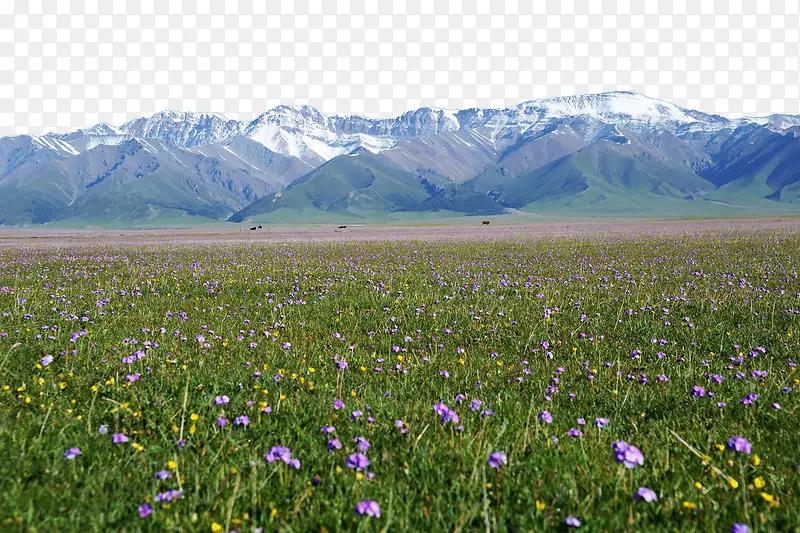 唯美风景新疆赛里木湖
