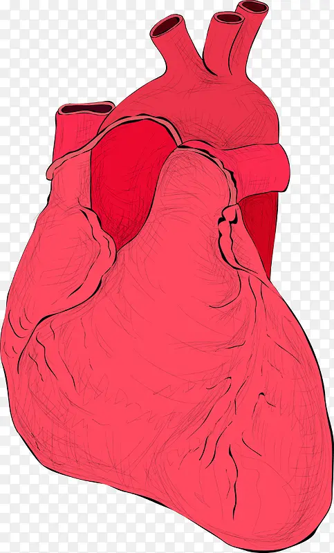 红色心脏矢量图