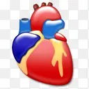 心脏病学心器官印象
