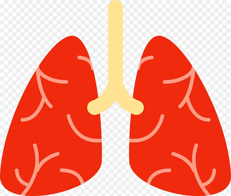 红色肺部矢量图