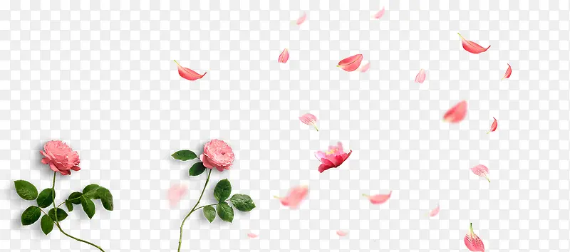 38妇女节玫瑰花背景装饰