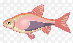 卡通热带鱼粉小鱼