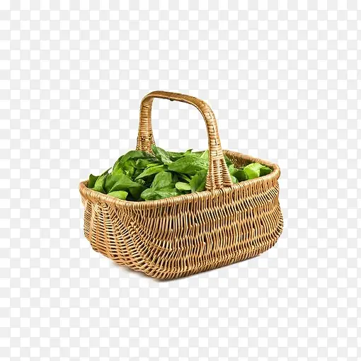 创意菜篮子