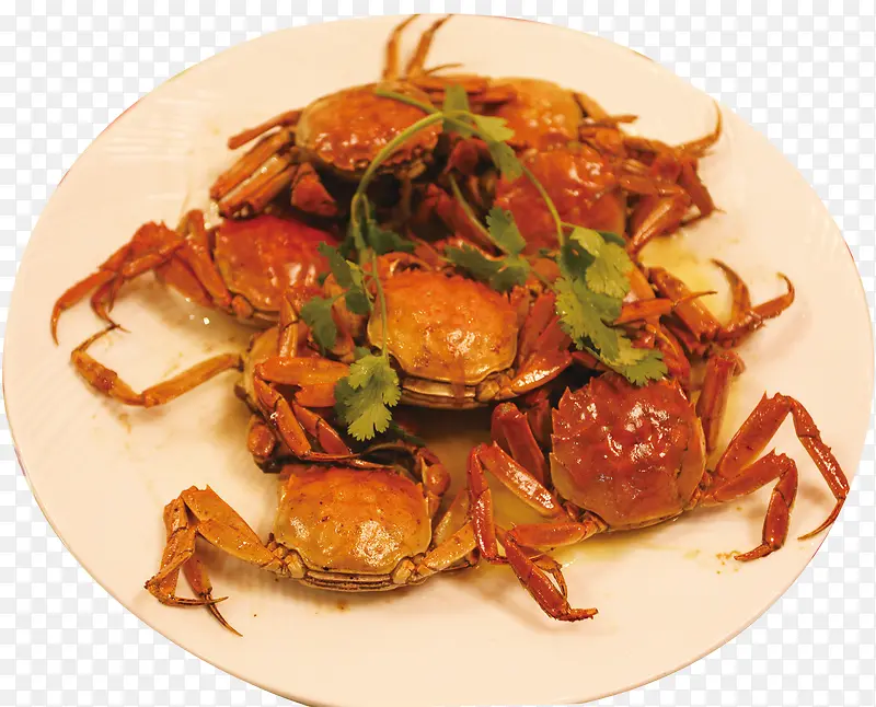 吮指蟹 螃蟹 烧螃蟹 美味螃蟹