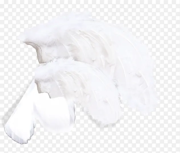 创意合成白色的羽毛形状