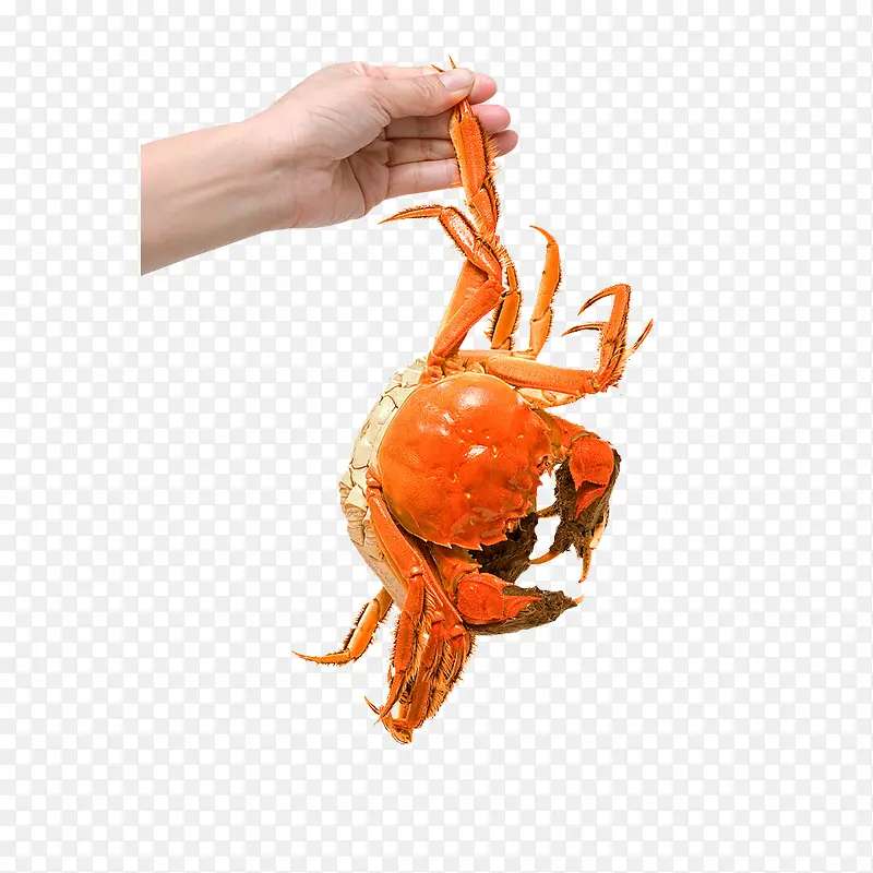 黄色螃蟹食物图标