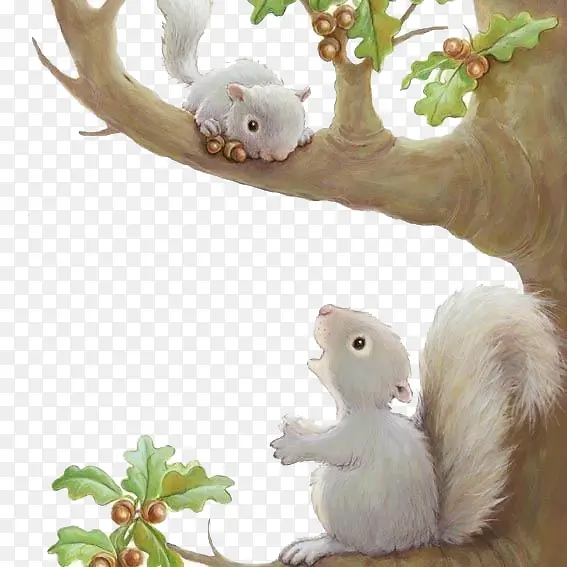 树上的小松鼠