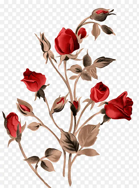 红色玫瑰花丛手绘