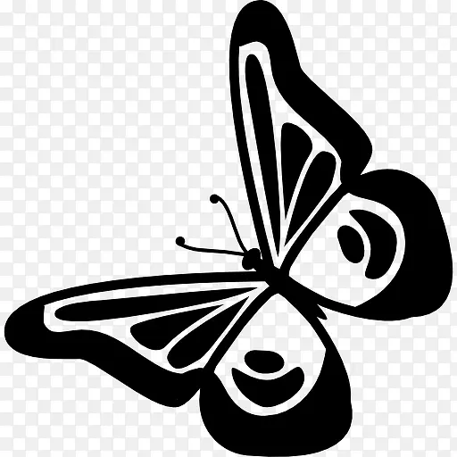 蝴蝶设计视图旋转到左图标