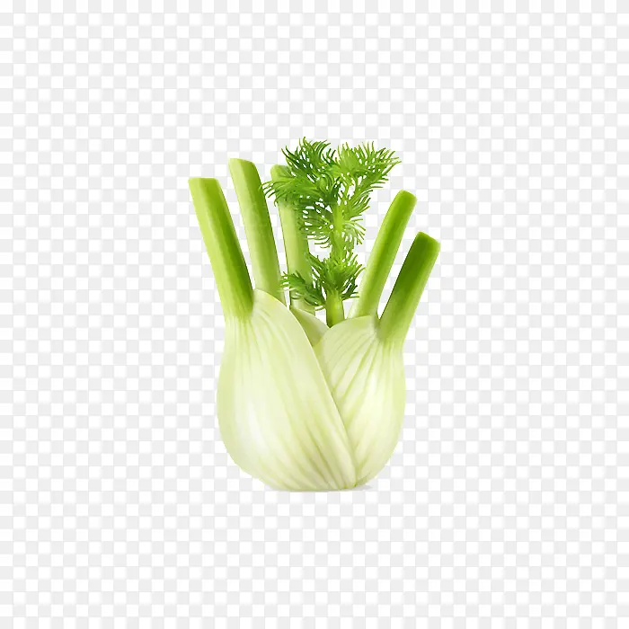 蔬菜芹菜
