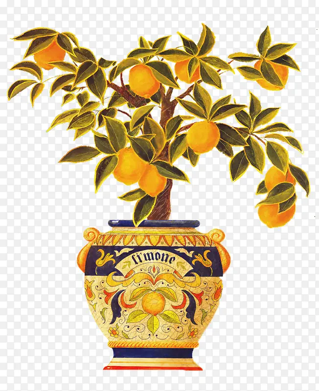 金桔柠檬盆摘