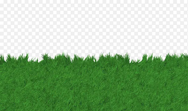 绿色草坪