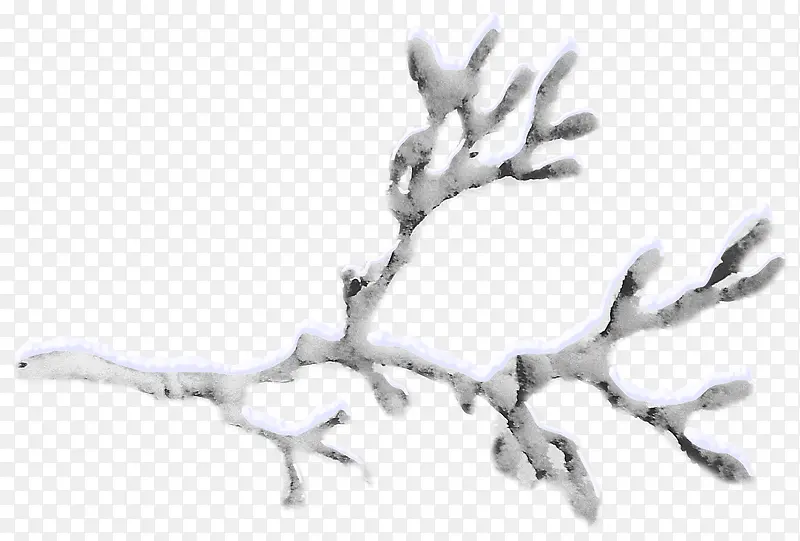 冰雪覆盖树枝