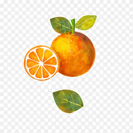 水彩手绘切面橙子水果叶子