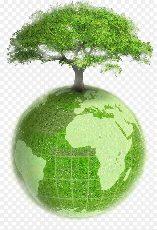 绿色地球上的大树医疗