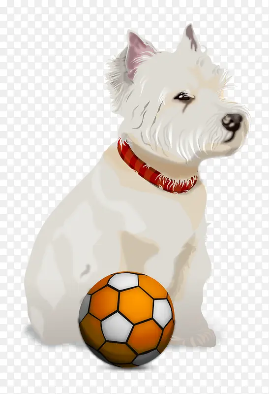 狗狗玩足球矢量图