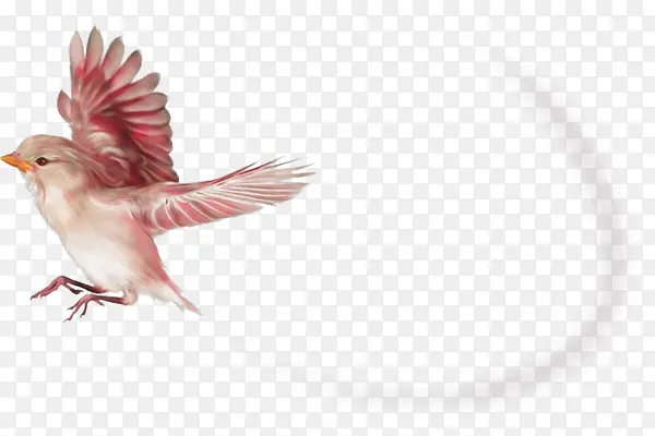 飞翔的粉红鸟