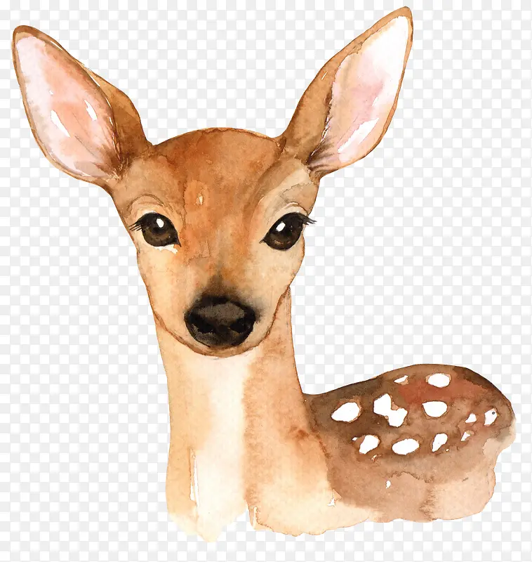 卡通手绘可爱的小鹿