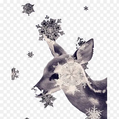 雪花和小鹿