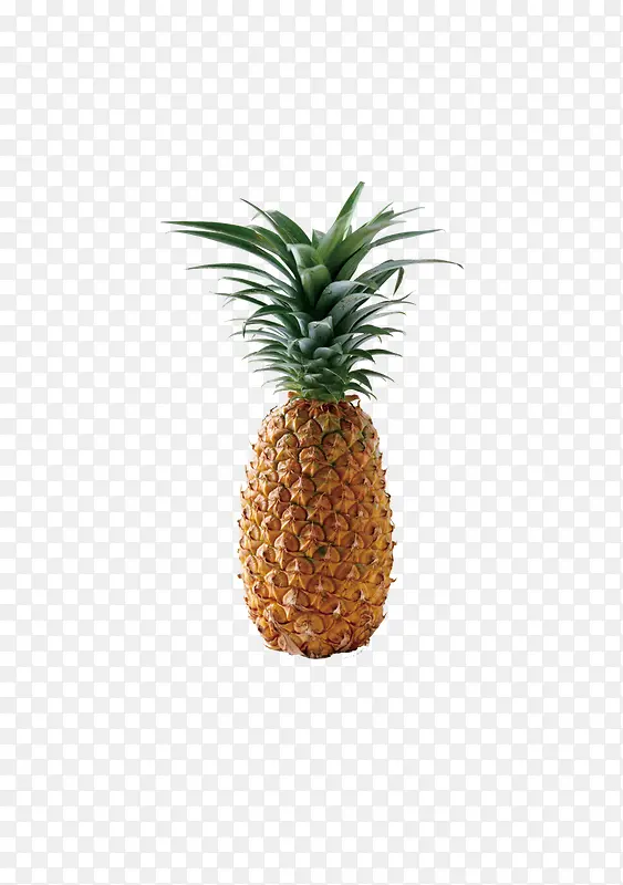一个菠萝水果