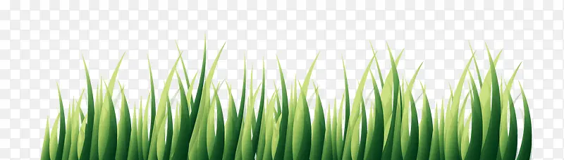 春节绿色小草植物矢量图