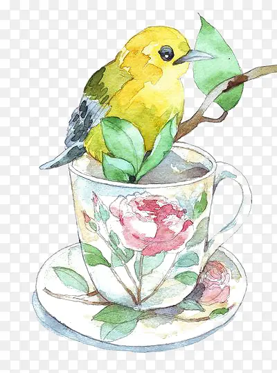茶杯和小鸟