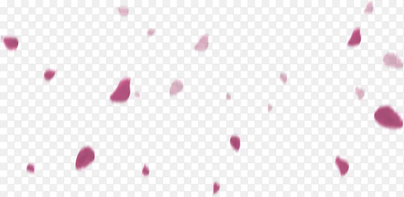 玫瑰花瓣满天飞