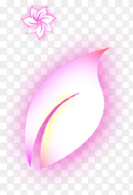 花朵花瓣高清投影