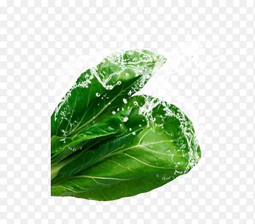 蔬菜