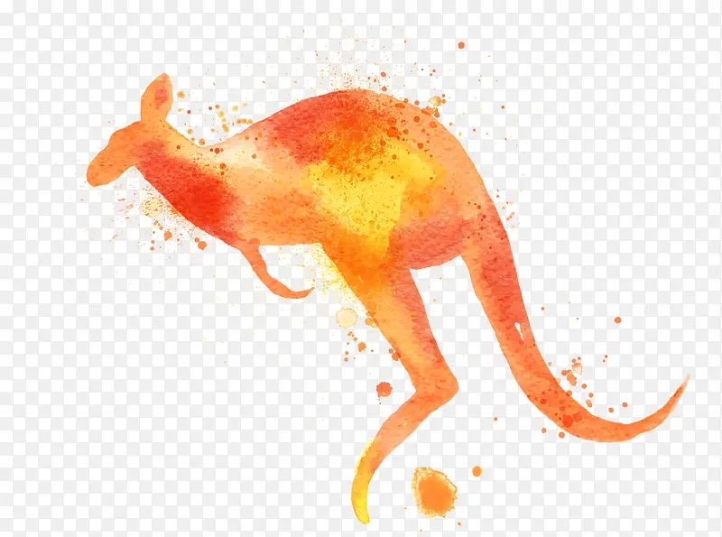 橙色水彩袋鼠
