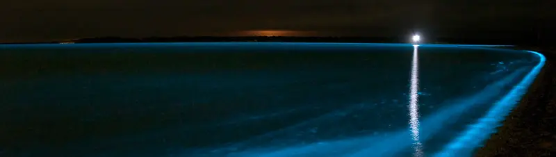 海边唯美夜景banner壁纸