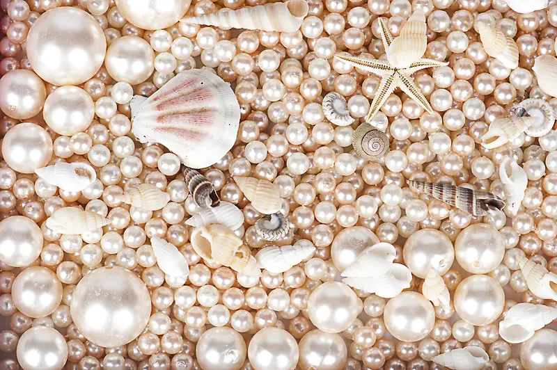 贝壳与珍珠
