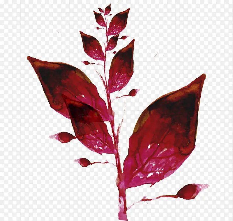 手绘红色鲜红墨迹植物树叶
