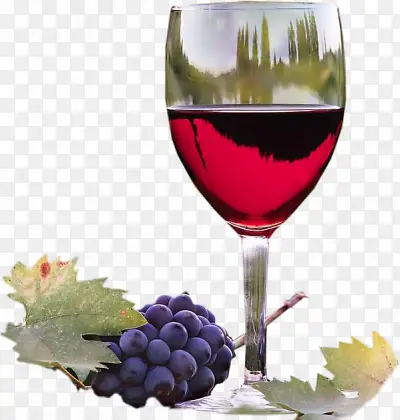 紫葡萄红酒