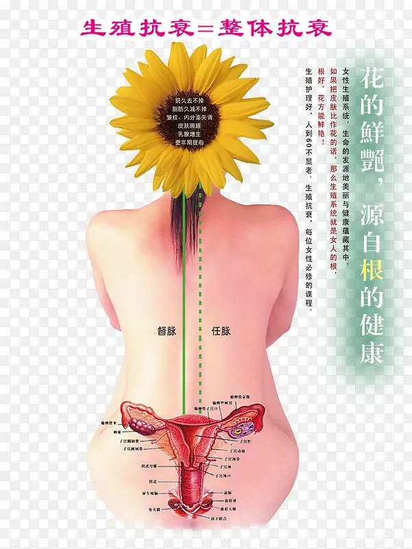 养生图图片
