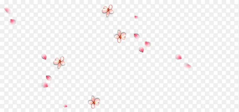 梅花花瓣漂浮
