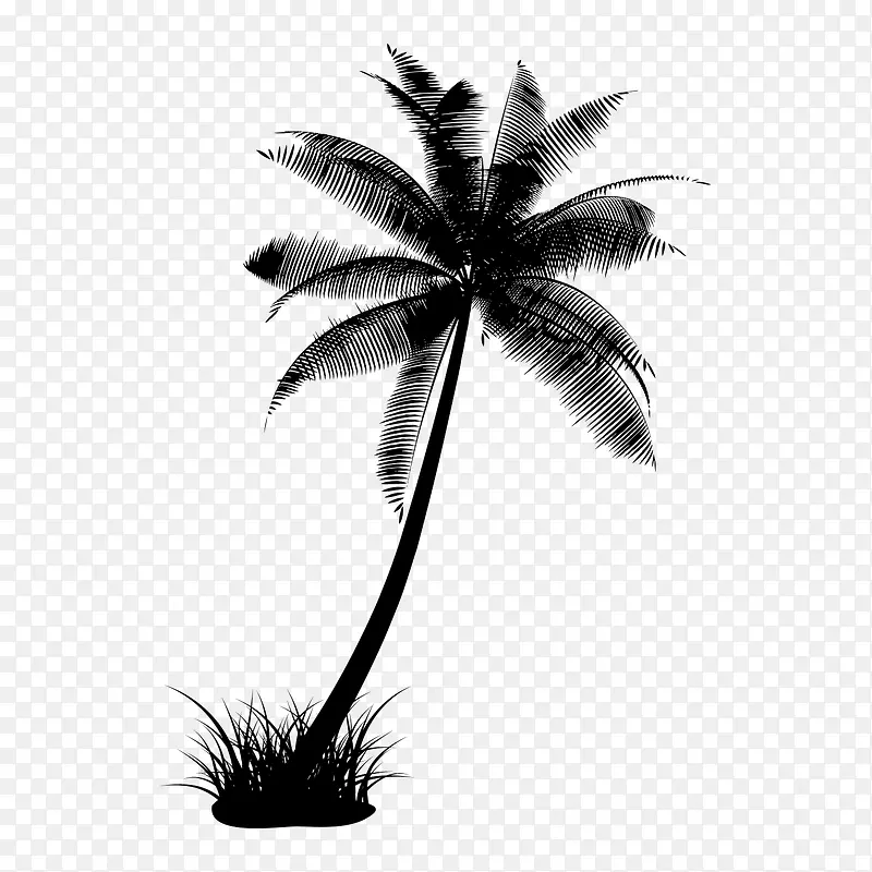 椰树剪影