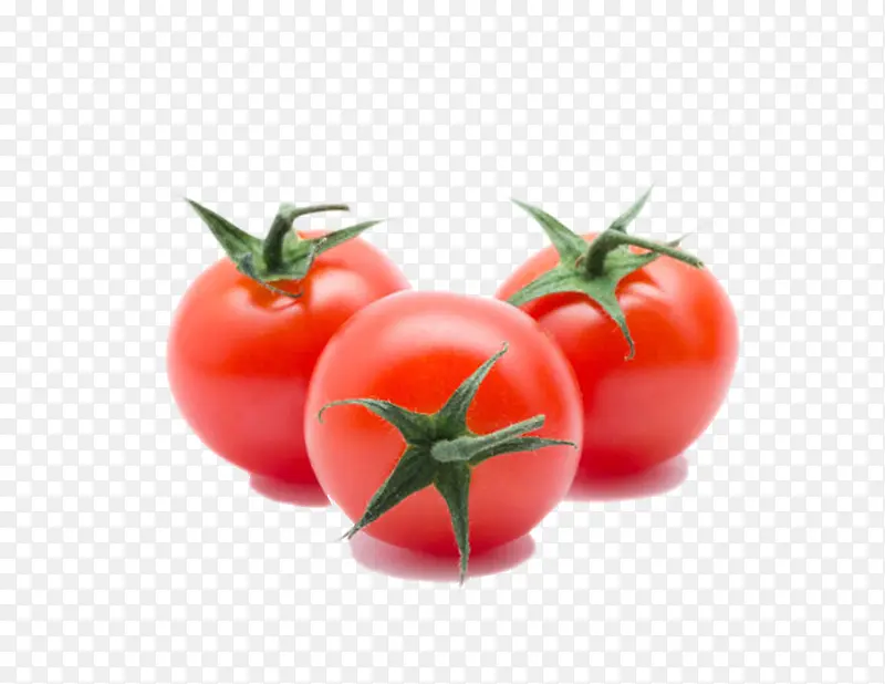 实物新鲜红色带藤樱桃番茄