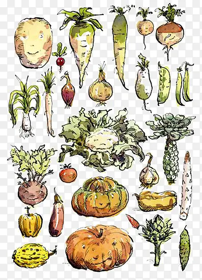 手绘复古蔬菜