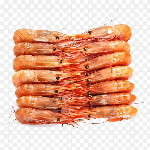 野生牡丹虾
