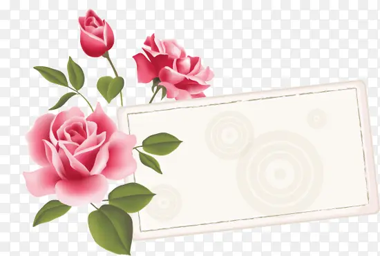粉玫瑰文本框