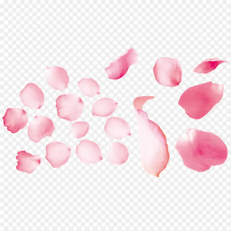 粉色平铺花瓣设计素材