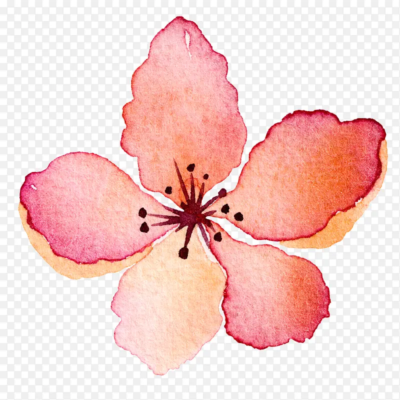 高清免抠手绘水彩花卉素材
