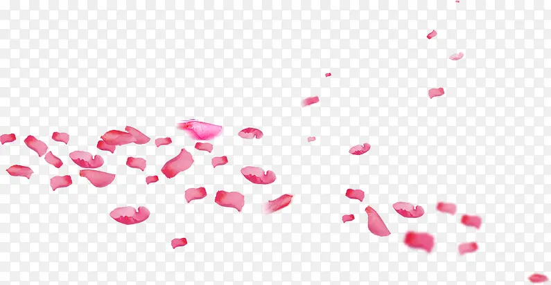 铺满地方粉色花瓣中秋