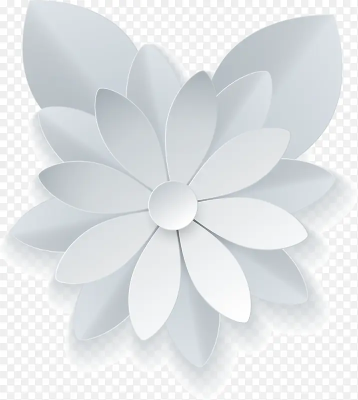 文艺风白色花朵